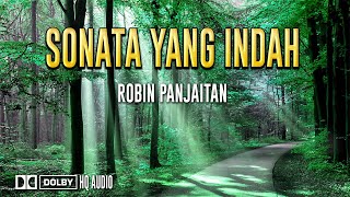Download lagu SONATA YANG INDAH //ROBIN PANJAITAN//LAGU KENANGAN TERINDAH