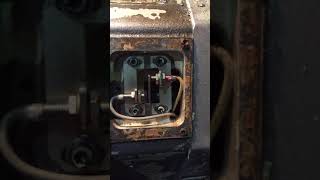 IMG 4950