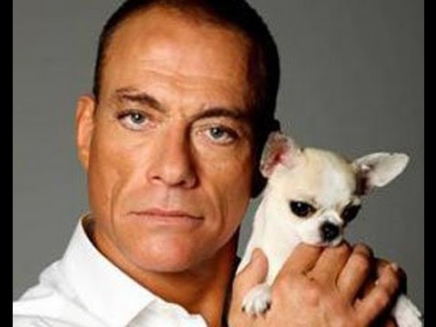 Жан Клод Ван Дамм (Jean-Claude Van Damme)из YouTube · Длительность: 8 мин13 с Жан Клод Ван Дамм (Jean-Claude Van Damme)из YouTube · Длительность: 8 мин13 с