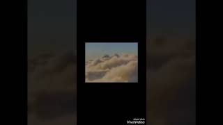 Allaha Küsen Serçe