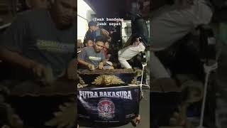 Iwak Bandeng Iwak Sepat banteng bantenganmalang reels sorotan beranda sholawat