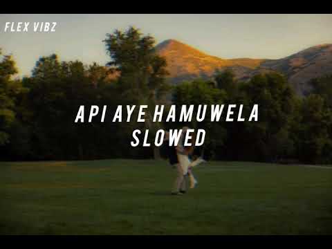 Api aye hamuwela Slowed, uvindu ayshcharya slowed song, Flex vibz 