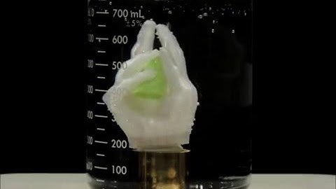 Essemplex:  3D Printable Shape Memory Polymer - Formed Hand