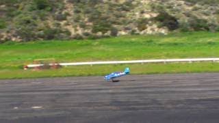 Nitro Hellcat VS P-40 Warhawk