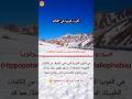 اغرب فوبيا في العالم Phobia اغرب فوبيا في العالم Phobia