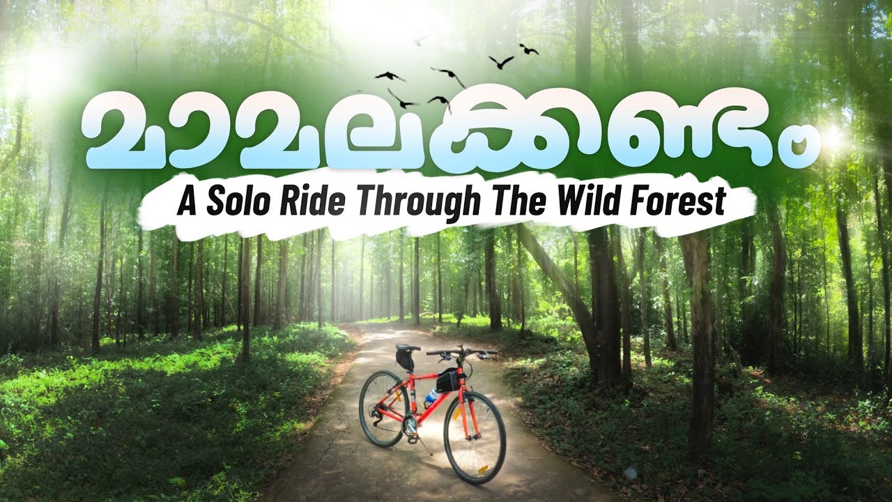 കാട്ടിലൂടെ ഒറ്റക്ക് ഒരു സൈക്കിൾ യാത്ര/ Mamalakandam Forest/ Solo Cycle Ride/ Malayalam travel