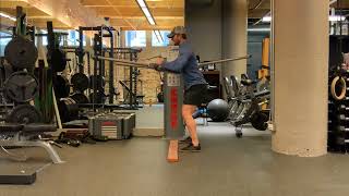 Standing Cable Push/Pull