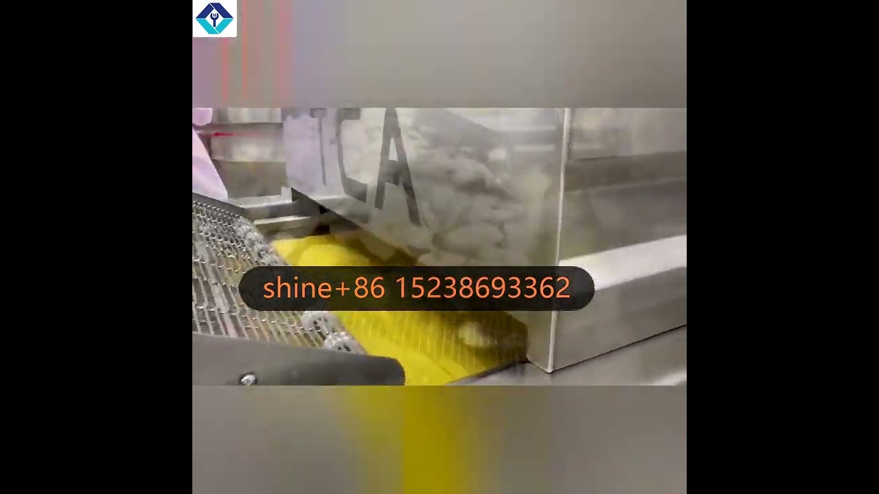 PLC Fried African Plantains Puffed Food Corn Chips Pig Skin Fish Nut Peanut Onion Frying Machine