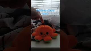 A very angry octopus #youtube #youtubeshorts #funny #viralvideo #viral