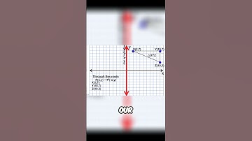 Mirror Reflection Through the Y Axis