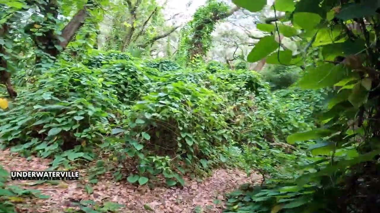 Everglades Historic Area Inside Miami, FL Urban Development Boundary