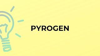 What is the meaning of the word PYROGEN?