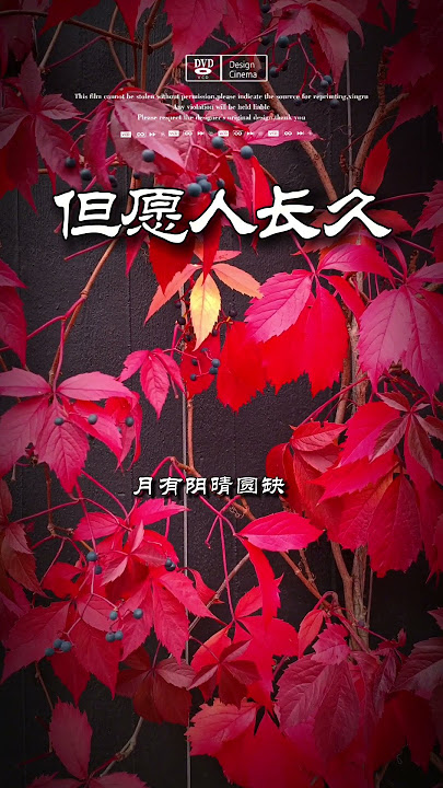 但愿人长久 千里共婵娟 邓丽君 #訂閱 #音樂 #鄧麗君 #人生感悟 #詩詞 #中文歌曲 #老歌 #名曲 #蘇軾 #ktv