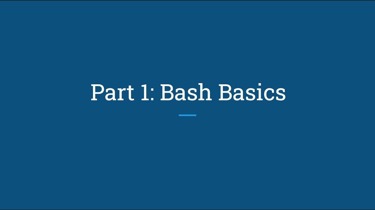 Introduction to Bash Scripting: Basics & Demonstration - YouTube
