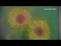20160708片岡鶴太郎展「還暦紅」