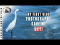 WILDLIFE PHOTOGRAPHY VLOGS - THE BEGINNING