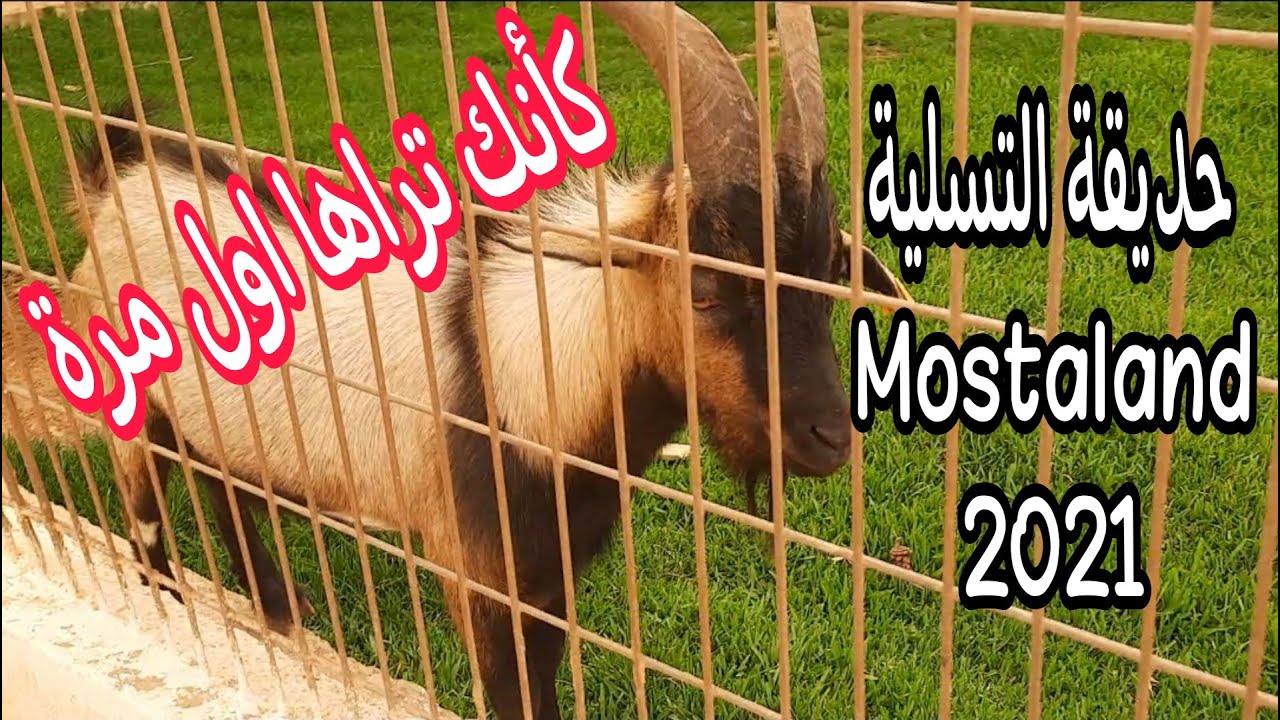 لمحبي الجمال (سبحان من خلق فسوى)