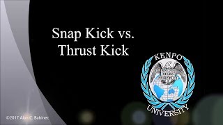 Snap Kick vs Thrust Kick - Kenpo Karate
