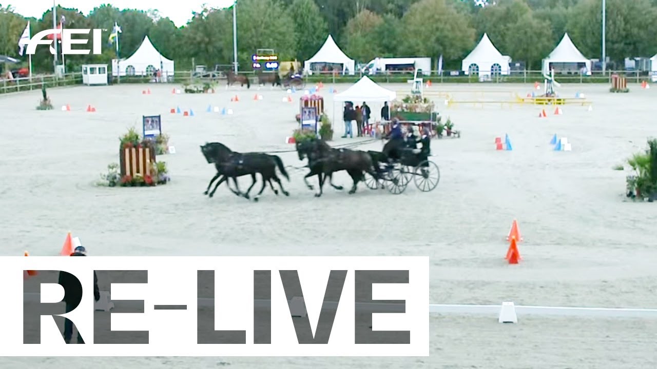 Cones (nrs. 201) I FEI Driving European Championship Four in Hand