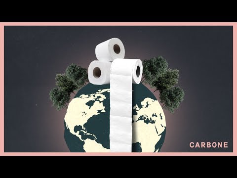 Vidéo: Qu'est-ce qu'une toilette écologique ?