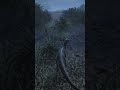 Always Look Up - Omniraptor  #theisle #evrima #gaming #dinosaur #omniraptor #raptor