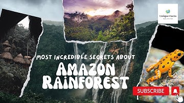 What’s Hidden in Amazon forest behind 2,124,000 Square Miles Unbelievable secrets