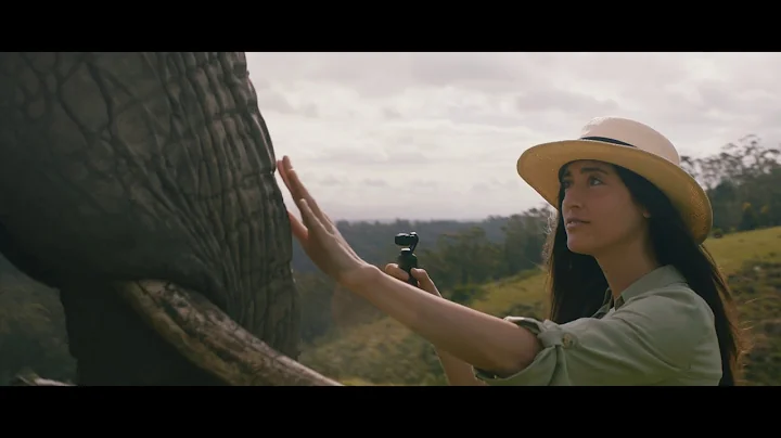 Happy Holidays from DJI