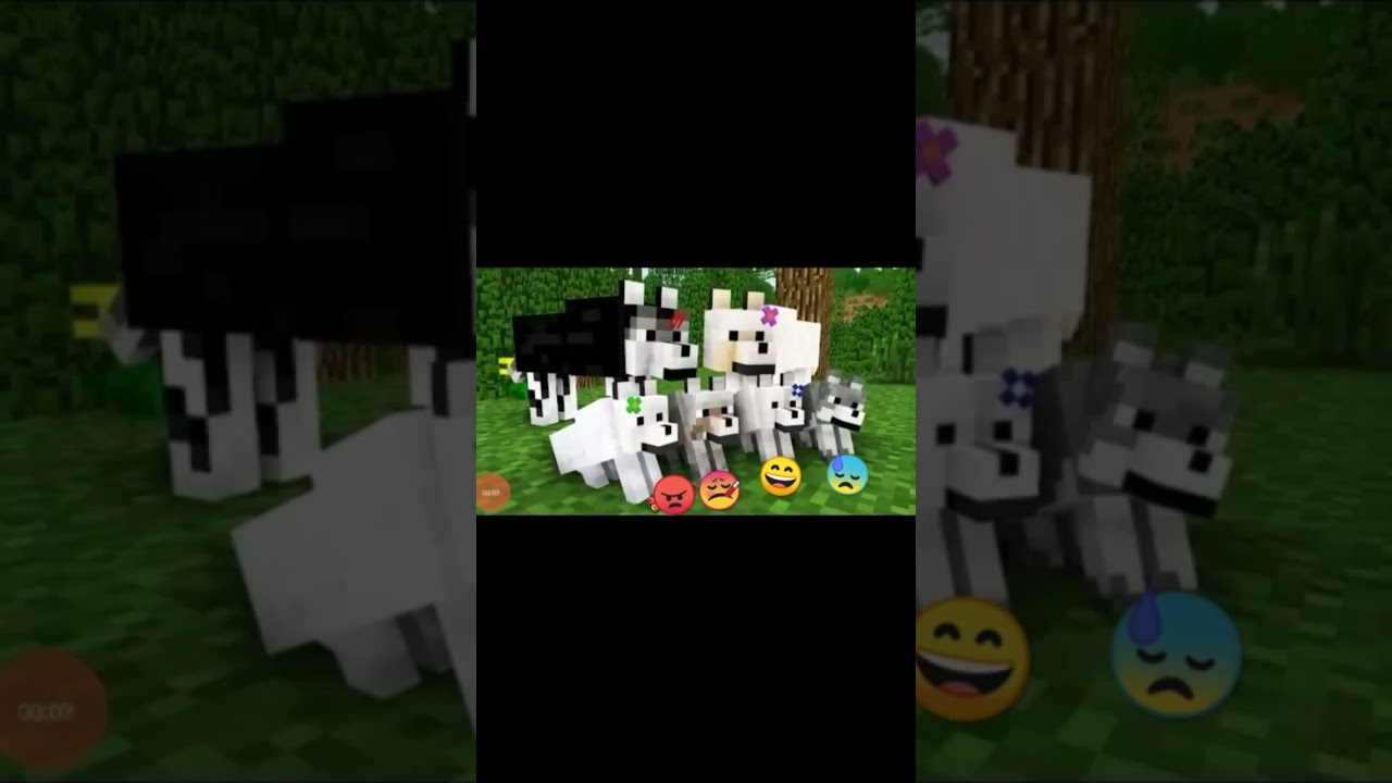 Comunidade de Minecraft on X: 🚨 #MAM2023 - Resultados REVELAÇÃO