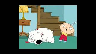 Mad stewie [ Wait a minute what the hell ]