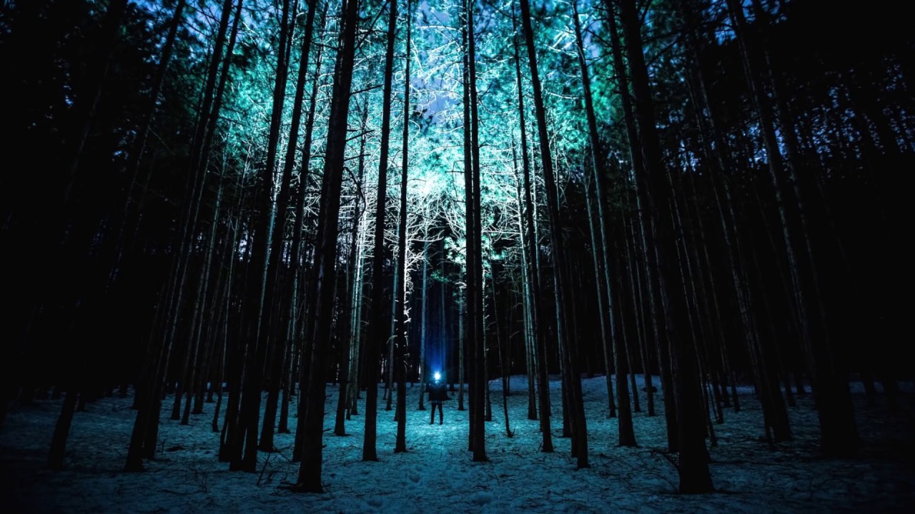 ⁣Tranquil Trip - Surrounded By