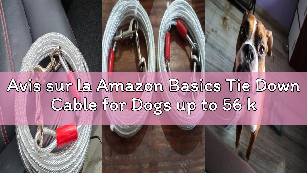 Avis sur la Amazon Basics Tie Down Cable for Dogs up to 56 kg, 9.15 m, Red
