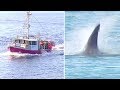 Did Fishermen Off The Coast Of Australia Encounter A Giant Megalodon Shark?