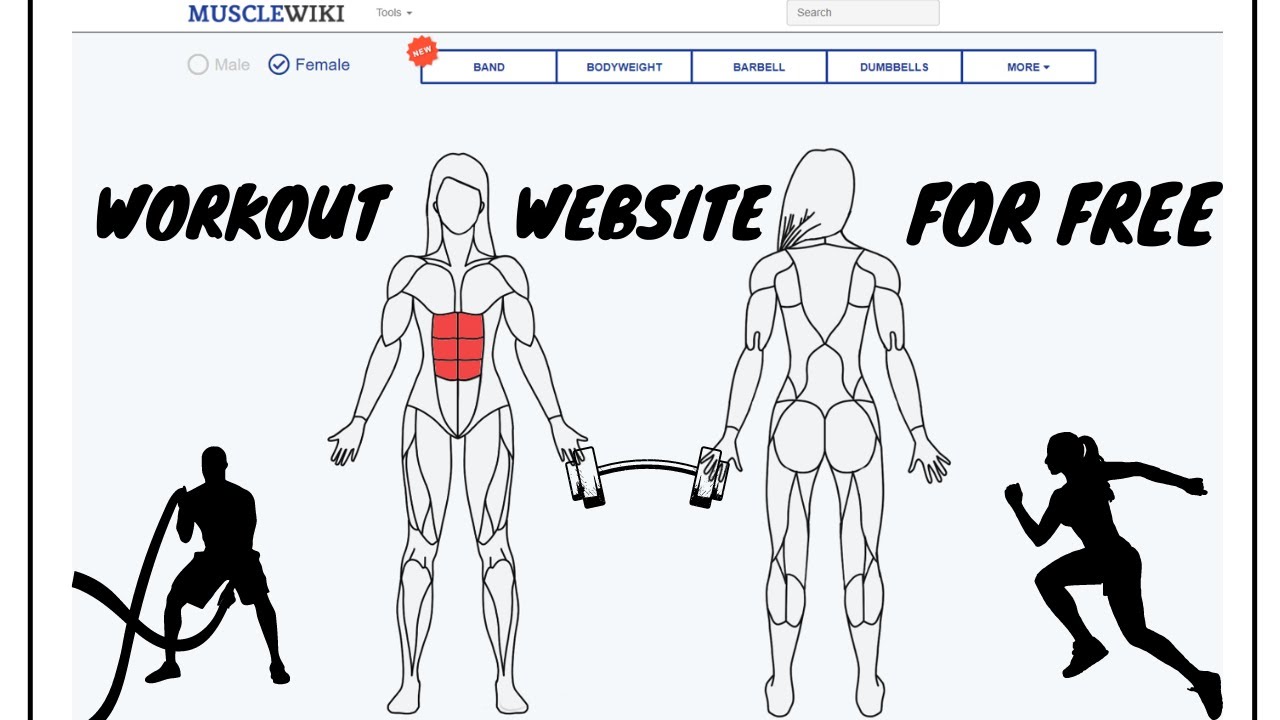 MuscleWiki Online Training Workouts site For Free YouTube