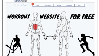 MuscleWiki | Online Training | Workouts | Website | For Free screenshot 3