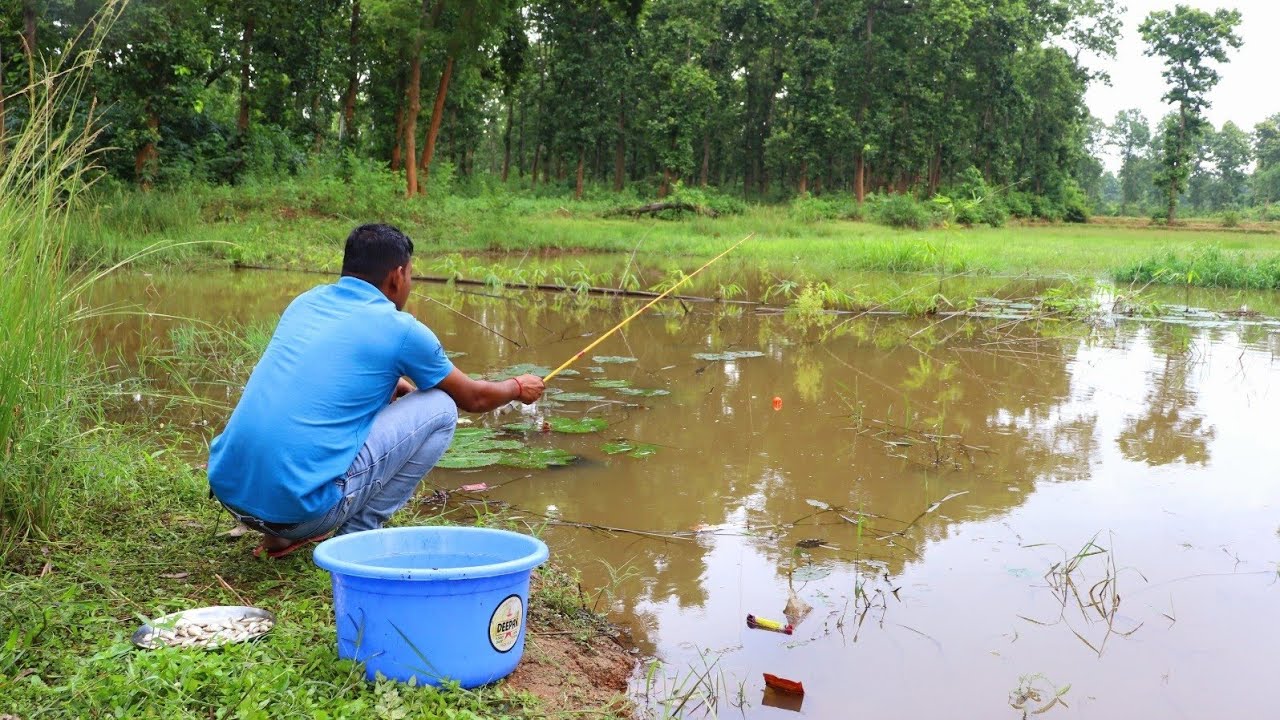 Fishing Video🐍|| Fishing with different techniques is very easy for village boys || Hook fishing