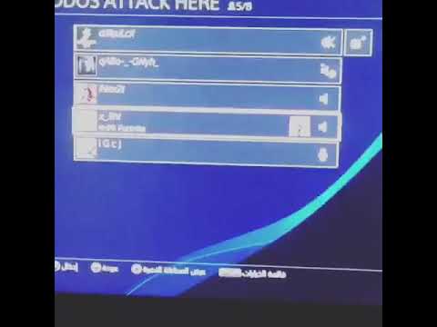 شلعت كلب الشهره ابومجانيه من قبل عمه 