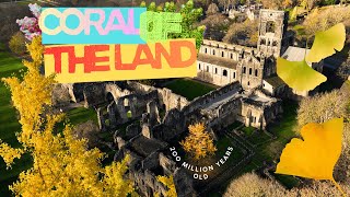 Corals of The Land | Gingko Tree - Kirkstall Abbey Autumn 2025