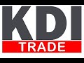 Бизнес в 2021 году / Руководитель компании KDI - Крупко Ирина