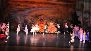 Nutcracker Clown part 008