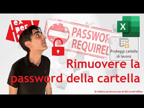 EXCEL - TRUCCHI E SEGRETI: ๐ Eliminare la protezione della cartella senza conoscere la password