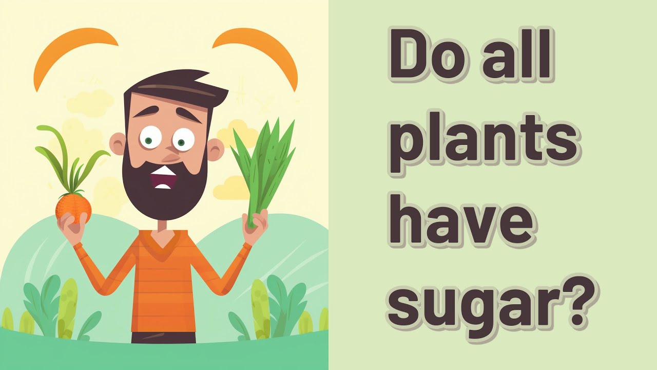 Do all plants have sugar? YouTube