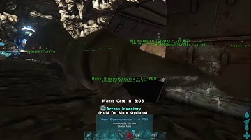 Ark unofficial pvp/building dino storage