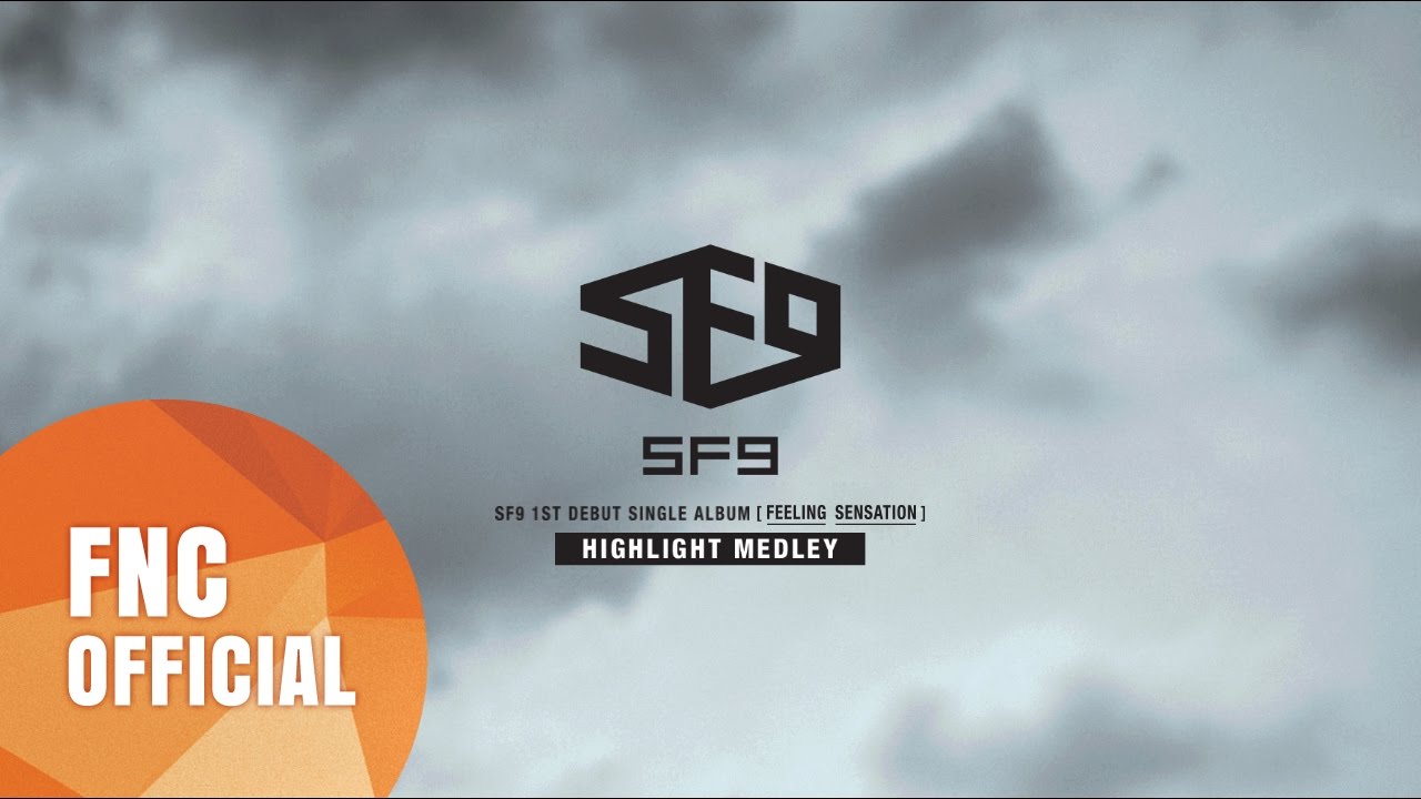 SF9 BREAKING SENSATION サイン入り SF9 直筆サイン CD