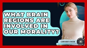 What Brain Regions Are Involved In Our Morality? - Learn About Atheism