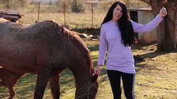 “The Devil In The Bottle” by Joshua Wright Fan Shoutout from Greece