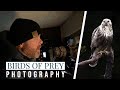 Birds of prey, flight photography technique // BIRD PHOTOGRAPHY from hide - Nikon Z9