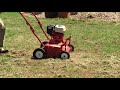 DETHATCHING ZOYSIA