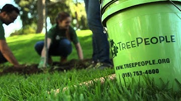 TreePeople - How to Plant a Tree