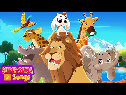 Funny Animals Compilation