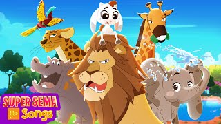 Funny Animals Compilation | Super Sema Kids Nursery Rhymes and Songs | Super Sema